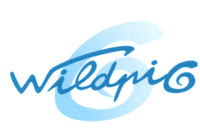 wildpig