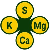 S K Mg Ca