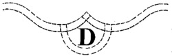 D