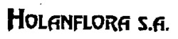 HOLANFLORA S.A.