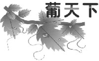 PU TIAN XIA