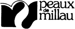 peaux de millau
