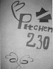 Pitchen 230