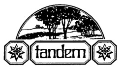 tandem