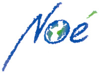 Noé