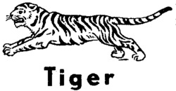 Tiger