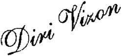 Diri Vizon