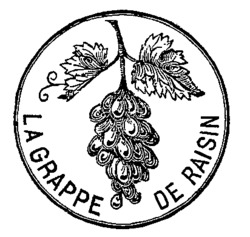 LA GRAPPE DE RAISIN