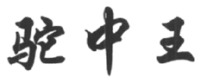 tuozhongwang