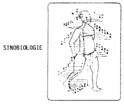 SINOBIOLOGIE