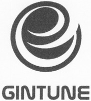 GINTUNE