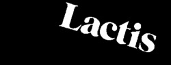 Lactis