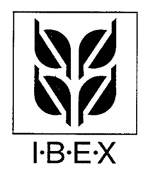 I.B.E.X
