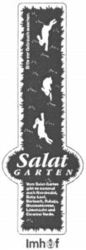 Salat Garten