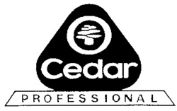 O Cedar PROFESSIONAL
