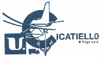 V. CICATIELLO & Figli s.r.l.