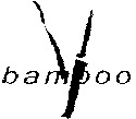 bamboo
