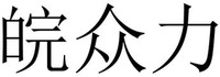 WAN ZHONG LI.