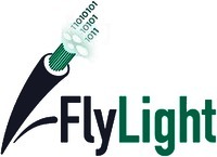 FlyLight