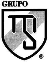 GRUPO MSI
