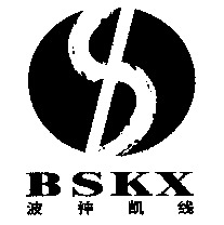 BSKX