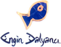 Engin Dalyanci.