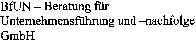 BfUN - Beratung für Unternehmensführung und -nachfolge GmbH