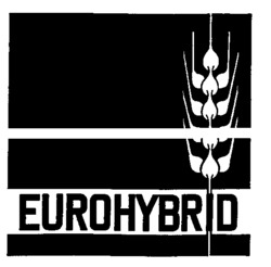 EUROHYBRID