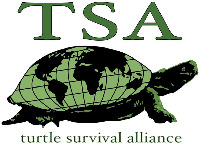 TSA turtle survival alliance