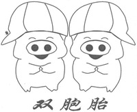 Shuang bao tai.