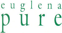 euglena pure