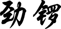  JIN LUO. 