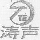 TS