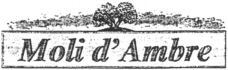 Moli d'Ambre