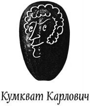 Kumkvat Karlovich