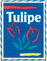 Tulipe