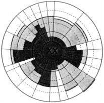 XX