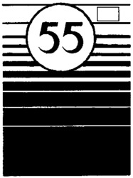 55