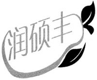  RUN SHUO FENG 