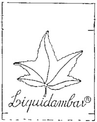 Liquidambar
