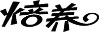  BEI YANG. 