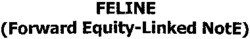 FELINE (Forward Equity-Linked NotE)