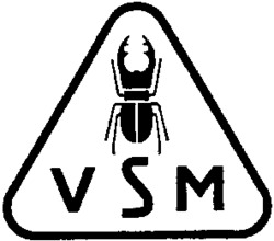 VSM