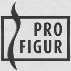 PRO FIGUR