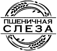 PSHENICHNAYA SLEZA
