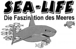 SEA-LIFE Die Faszination des Meeres