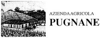AZIENDA AGRICOLA PUGNANE
