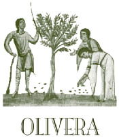 OLIVERA