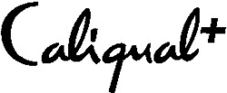 Caliqual+