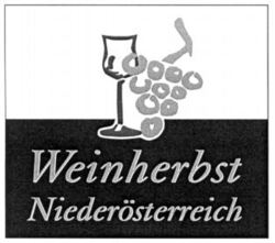 Weinherbst Niederösterreich